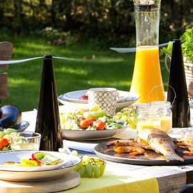 Best Fly Trap: Barclay Jonas